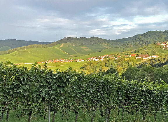 Löwenstein in der "schwäbischen Toskana"