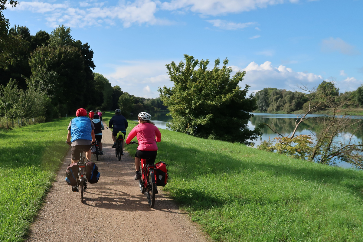 Der Rhein ist unser Begleiter bis Breisach