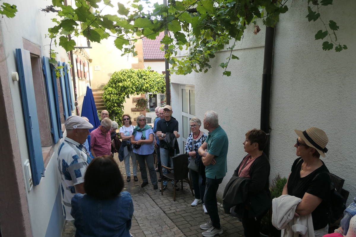 Am Abend sind wir auf einer interessanten Stadtbesichtigung in Endingen unterwegs