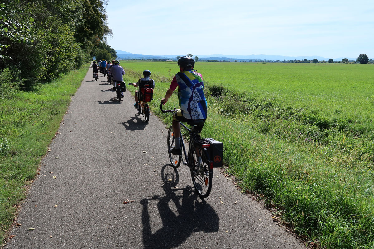 Die letzten KM in der Rheinebene, in der Ferne der Schwarzwald